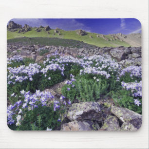 Mountains and wildflowers in alpine meadow, mouse mat