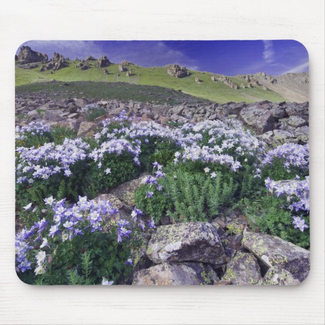 Mountains and wildflowers in alpine meadow, mouse mat (Front)