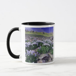 Mountains and wildflowers in alpine meadow, mug