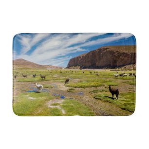Mountains   Bolivian Andes Bath Mat