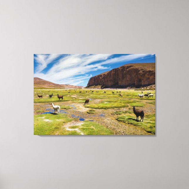 Mountains | Bolivian Andes Canvas Print (Front)