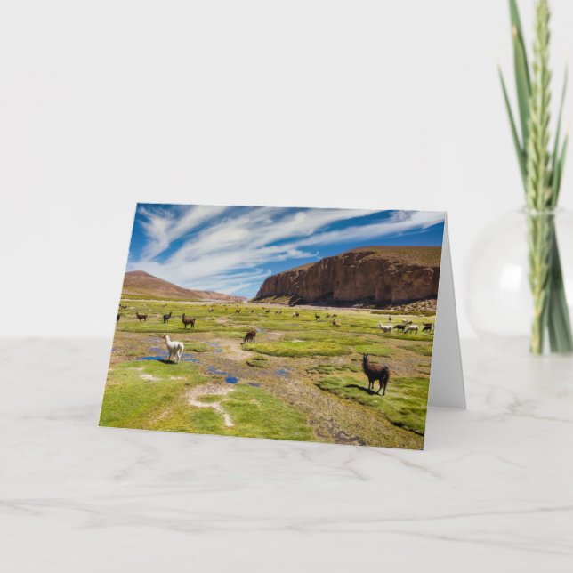 Mountains | Bolivian Andes Card (Front)
