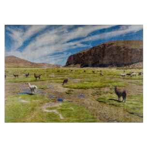 Mountains   Bolivian Andes Cutting Board