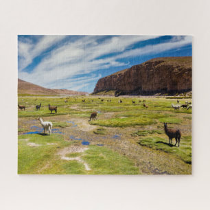 Mountains   Bolivian Andes Jigsaw Puzzle