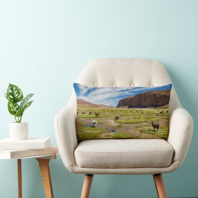 Mountains | Bolivian Andes Lumbar Cushion (Chair)