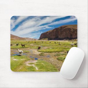 Mountains Bolivian Andes Mouse Mat