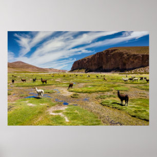 Mountains   Bolivian Andes Poster