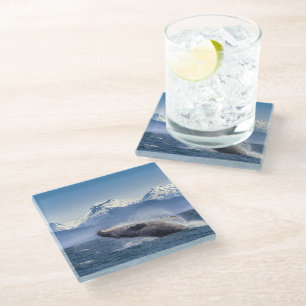 Mountains Breaching Whale Glacier Bay, Alaska Glass Coaster
