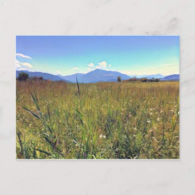 Mountains in Switzerland, Pilatus Postcard (Front)