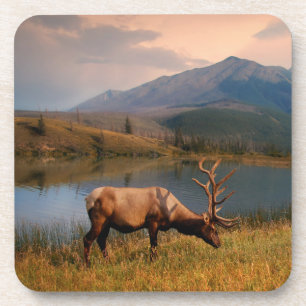 Mountains   Jacques Mountain Range Alberta Canada Coaster