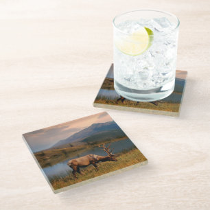 Mountains   Jacques Mountain Range Alberta Canada Glass Coaster