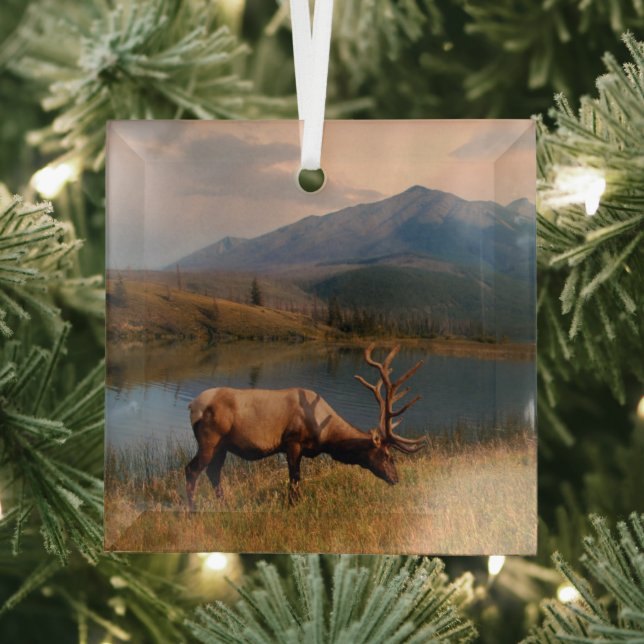 Mountains | Jacques Mountain Range Alberta Canada Glass Tree Decoration (Insitu)