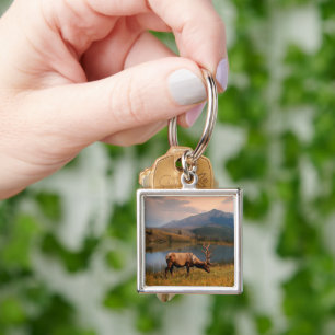Mountains   Jacques Mountain Range Alberta Canada Key Ring