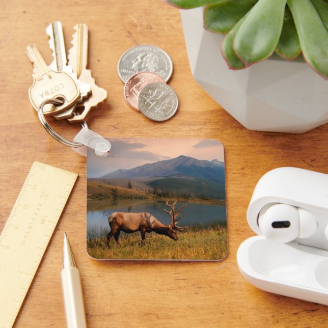 Mountains | Jacques Mountain Range Alberta Canada Key Ring (Desk)