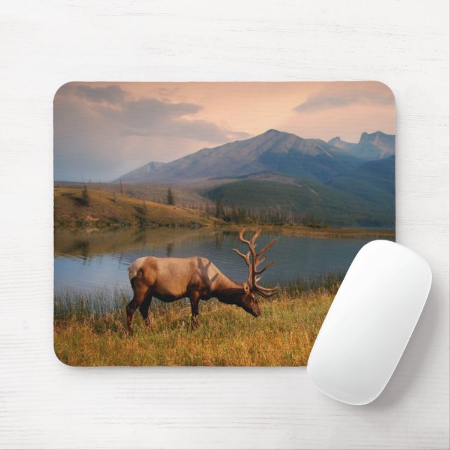 Mountains | Jacques Mountain Range Alberta Canada Mouse Mat (With Mouse)