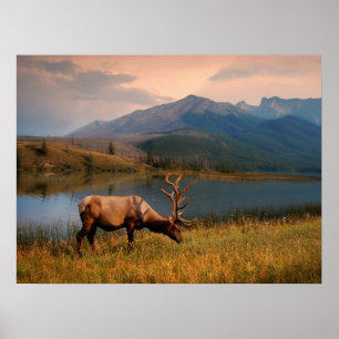 Mountains   Jacques Mountain Range Alberta Canada Poster