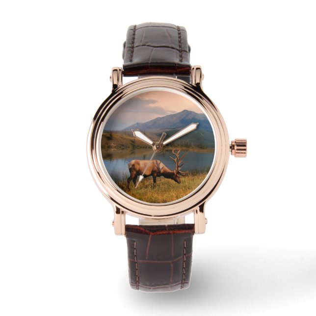 Mountains | Jacques Mountain Range Alberta Canada Watch (Front)