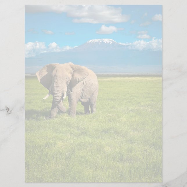 Mountains | Mount Kilimanjaro Tanzania, Africa (Front)