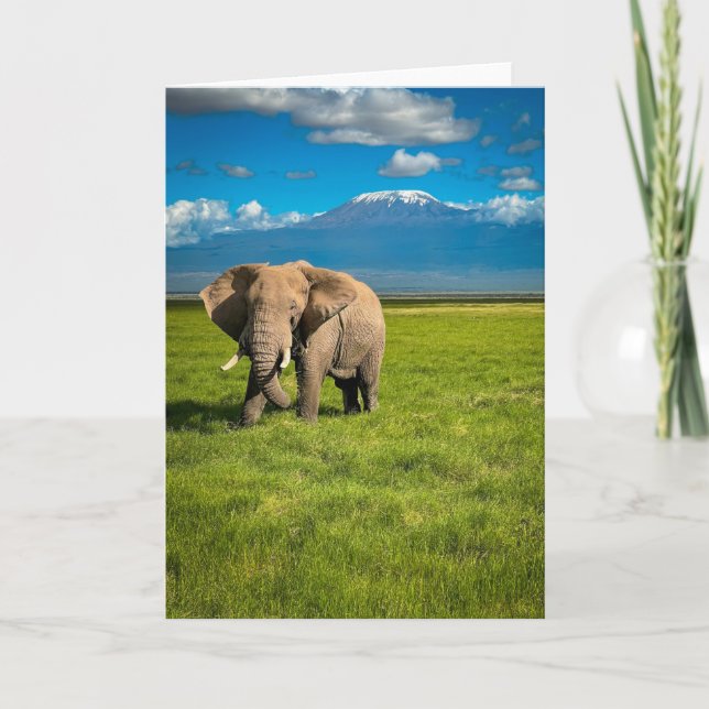 Mountains | Mount Kilimanjaro Tanzania, Africa Card (Front)