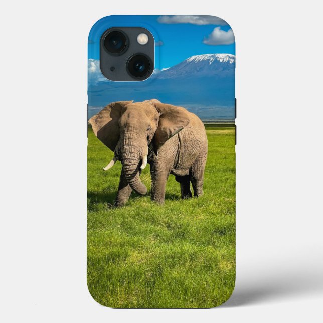 Mountains | Mount Kilimanjaro Tanzania, Africa Case-Mate iPhone Case (Back)
