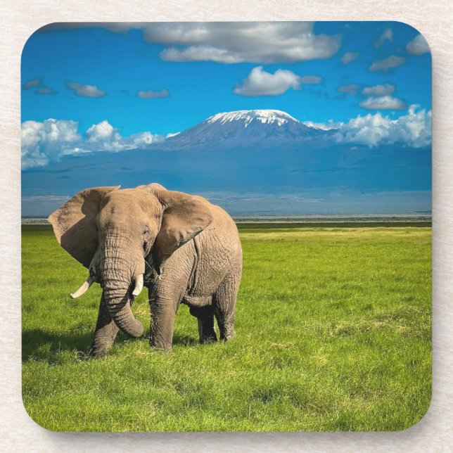 Mountains | Mount Kilimanjaro Tanzania, Africa Coaster (Front)