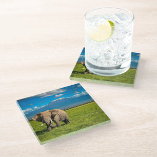 Mountains   Mount Kilimanjaro Tanzania, Africa Glass Coaster