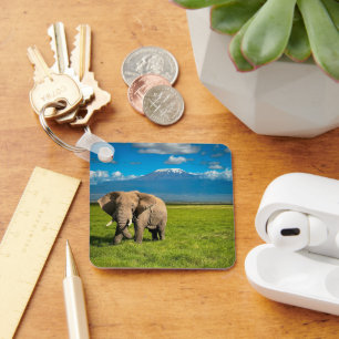 Mountains   Mount Kilimanjaro Tanzania, Africa Key Ring