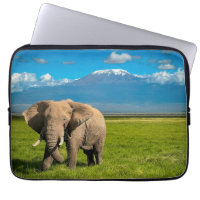 Mountains | Mount Kilimanjaro Tanzania, Africa