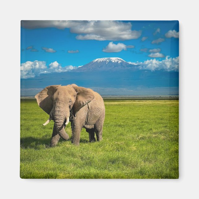 Mountains | Mount Kilimanjaro Tanzania, Africa Magnet (Front)