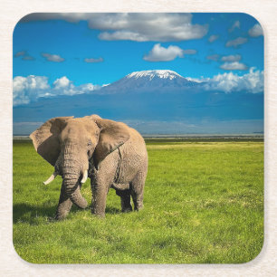 Mountains   Mount Kilimanjaro Tanzania, Africa Square Paper Coaster