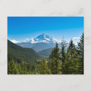 Mountains   Mt. Hood Oregon Postcard