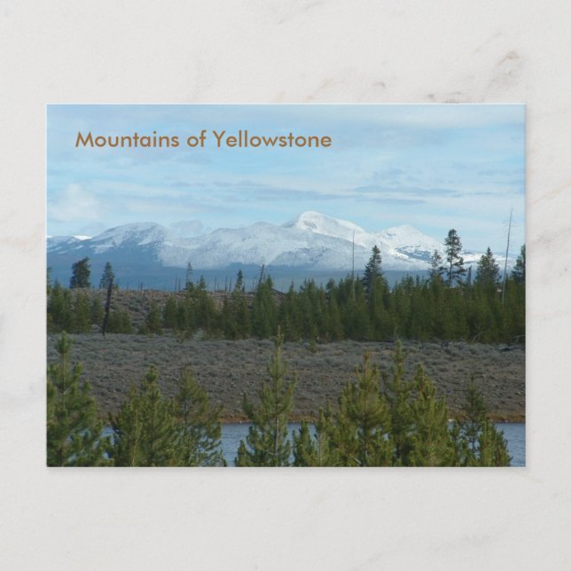 Mountains of Yellowstone Postcard (Front)