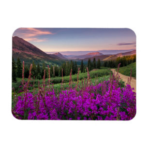 Mountains   Rocky Mountains, Colorado Magnet