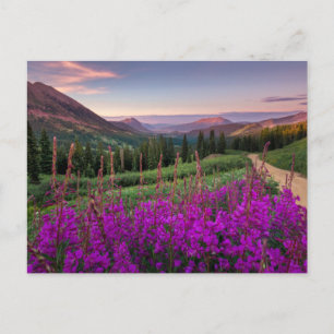 Mountains   Rocky Mountains, Colorado Postcard