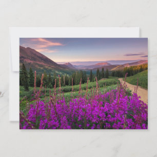 Mountains   Rocky Mountains, Colorado Thank You Card