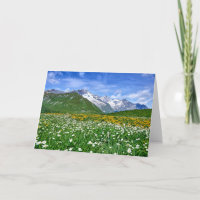 Mountains | Swiss Alps Valley Spring