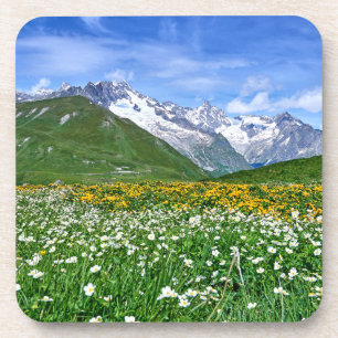 Mountains   Swiss Alps Valley Spring Coaster