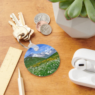 Mountains   Swiss Alps Valley Spring Key Ring
