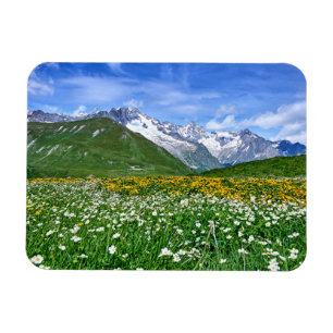 Mountains   Swiss Alps Valley Spring Magnet