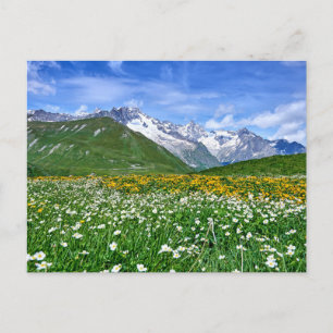 Mountains Swiss Alps Valley Spring Postcard
