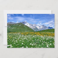 Mountains | Swiss Alps Valley Spring