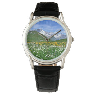 Mountains   Swiss Alps Valley Spring Watch