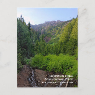 Mountainside Stream Postcard
