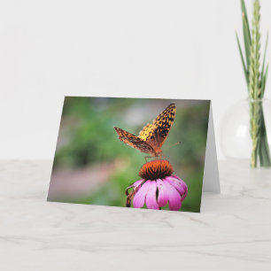 Mourning Cloak Butterfly Cards