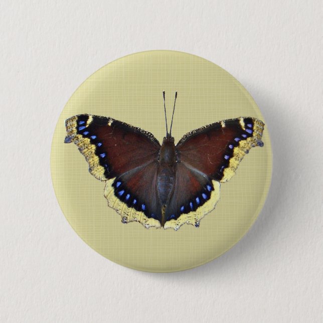 Mourning Cloak Butterfly - Nymphalis antiopa 6 Cm Round Badge (Front)