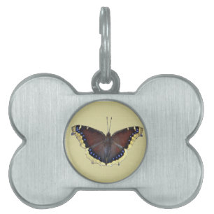 Mourning Cloak Butterfly - Nymphalis antiopa Pet Name Tag