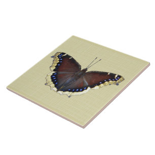 Mourning Cloak Butterfly - Nymphalis antiopa Tile