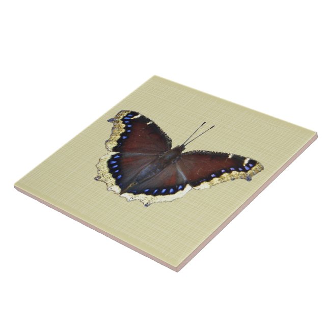 Mourning Cloak Butterfly - Nymphalis antiopa Tile (Side)