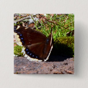 Mourning Cloak Butterfly Upclose 15 Cm Square Badge
