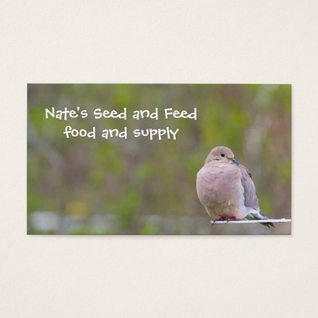 Mourning Dove (Front)